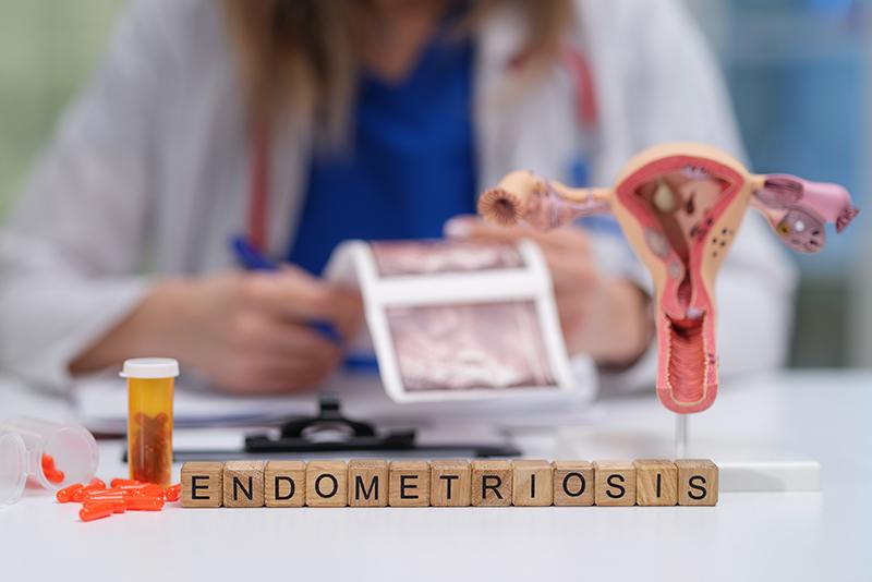 Gynaecologist discussing endometriosis with a patient