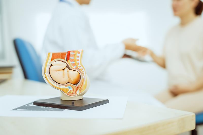 Obstetrician in a white coat consulting with a pregnant patient during a prenatal check-up